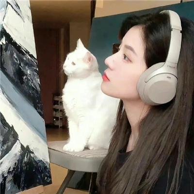小夜莺